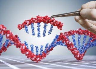 Nuovi Ogm, così la lobby biotech si muove per deregolamentarli in Europa con i soldi di Bill Gates ogm