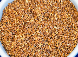 Bloccato un carico De Cecco a Bari per grano contaminato GRANO