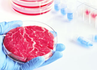 Una bistecca sintetica salverà il pianeta? CARNE COLTIVATA BISTECCA SINTETICA
