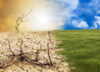 Il report della Corte dei Conti Ue: 100 miliardi per il clima non sono serviti a nulla