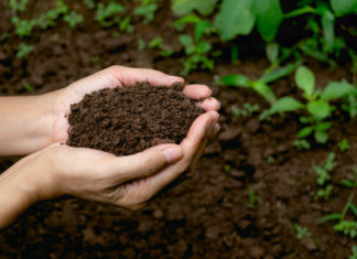 I compostatori: “Serve un divieto ai Pfas nel compostabile” COMPOST PFAS