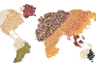L’ombra di Big Food sul Food system summit Onu FOOD SYSTEM SUMMIT