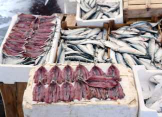 Plastificanti e principi attivi dei pesticidi in sardine, acciughe e naselli del Mediterraneo PLASTIFICANTI