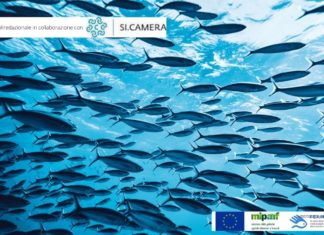 Un 2022 nel segno della sostenibilità (anche a tavola)