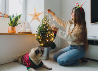 Lucine per l’albero di Natale, come sceglierle ed evitare cortocircuiti