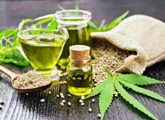 La Cannabis a tavola e i benefici del Cbd sacrificati in nome del proibizionismo CANNABIS CBD
