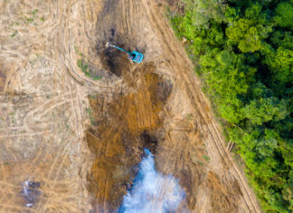 Cargill continua a incentivare la deforestazione dell’Amazzonia deforestazione