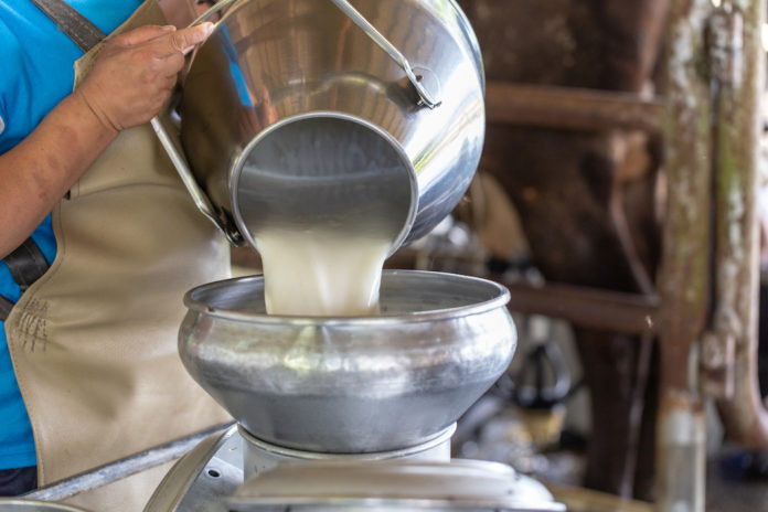 LATTE MALTESE FORMAGGI ITALIANI FRODE LATTE MALTESE FORMAGGI ITALIANI FRODE