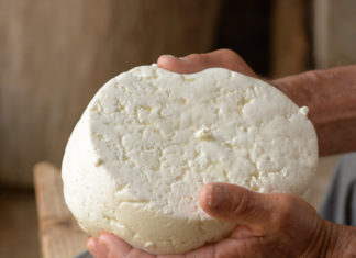 Salmonella, così il focolaio nelle Marche è partito dal formaggio a latte crudo