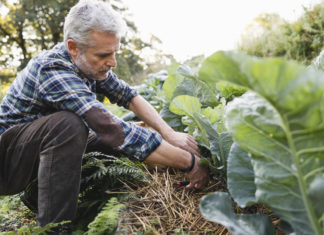 Lo studio dell’Ue: i fondi Pac all’agroindustria danneggiano le comunità agricole agricoltura agricole