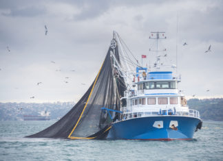 Salta la stretta Ue sulla pesca irregolare. La Lega esulta