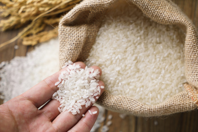 Picking uncooked rice in a small burlap sack RISO ARSENICO