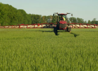 Così l’Europa cerca di salvare i pesticidi potenzialmente dannosi pesticidi