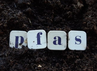 Pfas, lo studio italiano spiega come agiscono sui geni cambiando metabolismo e fertilità PFAS