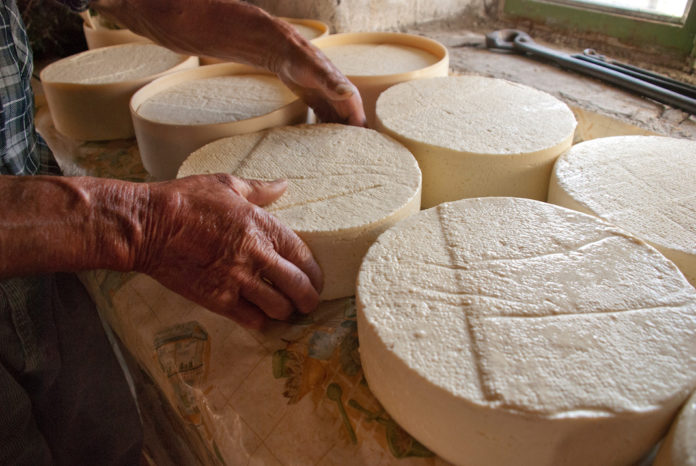 Formagelle