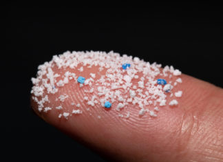 “Abbiamo più microplastiche nel cervello di quanto immaginavamo” MICROPLASTICHE SANGUE CERVELLO E.COLI