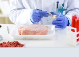 Coop replica a Essere Animali: “Solo il 5% dei petti di pollo ha white striping” POLLO SALMONELLE ANTIBIOTICO-RESISTENZA