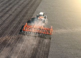 Biocarburanti da grano e mais, le Ong accusano l’Ue: “Grave errore di fronte a crisi alimentare globale” biocarburanti grano