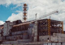 36 anni dopo Chernobyl le carni di cinghiale tedesche sono ancora contaminate dal Cesio-137 CHERNOBYL CINGHIALE