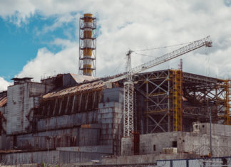 36 anni dopo Chernobyl le carni di cinghiale tedesche sono ancora contaminate dal Cesio-137 CHERNOBYL CINGHIALE