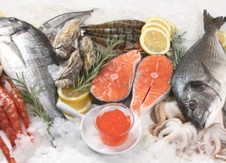 “Muto come un…”: le frodi sulle specie e sulla freschezza del pesce che acquistiamo PESCE FRODI