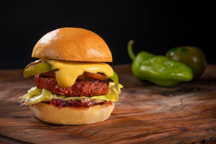 burger amadori veg burger amadori veg