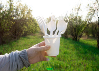 Altro che compostabili, le stoviglie “green” non si degradano compostabili