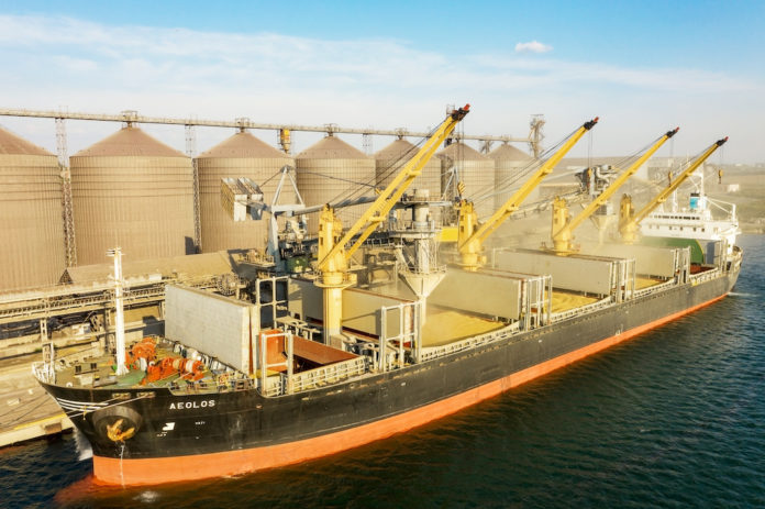 ODESSA, UKRAINE - August 9, 2021: Loading grain into holds of sea cargo vessel through an automatic line in seaport from silos of grain storage. Bunkering of dry cargo ship with grain grano ucraina