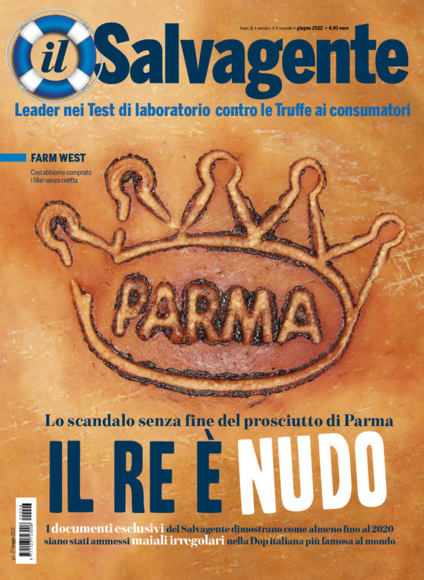 Il Salvagente 6/2022 (PDF)