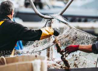 Approvata la SalvaMare: i pescatori che riportano rifiuti non saranno denunciati SALVAMARE PESCATORI RIFIUTI