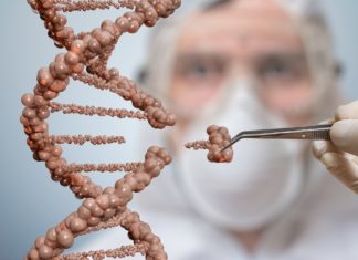 L’Italia non è più Ogm free. Quali sono i rischi per il nostro paese? NUOVI OGM CRISPR