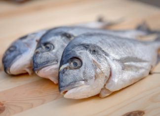 Fao: in aumento le frodi nel settore ittico. In Italia spigole e cozze le più colpite PESCE FRODI