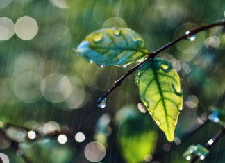 L’acqua piovana ovunque sulla terra è contaminata da Pfas acqua pfas