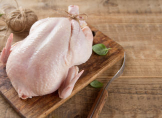 Tutte le informazioni utili a prevenire e combattere la salmonellosi salmonellosi