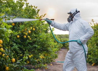 La denuncia di Pan: Ue vuole riautorizzare due pesticidi molto pericolosi pesticidi Pan