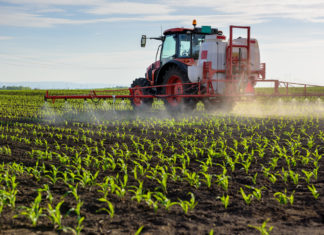 Pfas nei pesticidi: il mix tossico presente in 7 insetticidi su 10. Lo studio PFAS PESTICIDI
