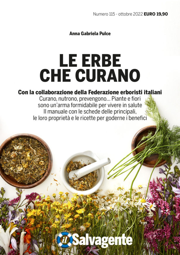 Le erbe che curano