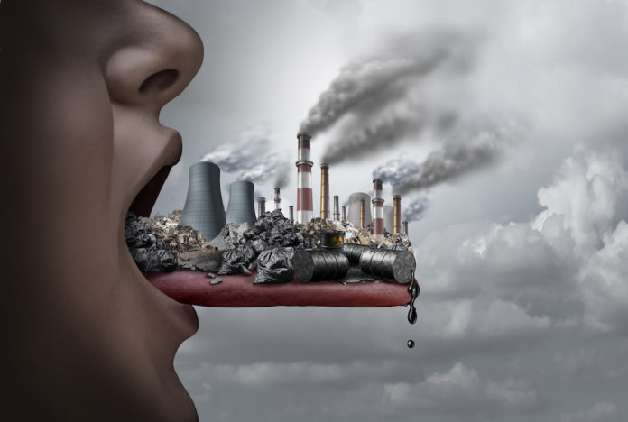 Toxic Pollution Inside The Human Body FTALATI