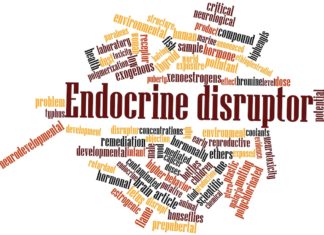 La Ue prova a classificare gli interferenti endocrini: c’è anche la lista dei “sospetti” interferenti endocrini