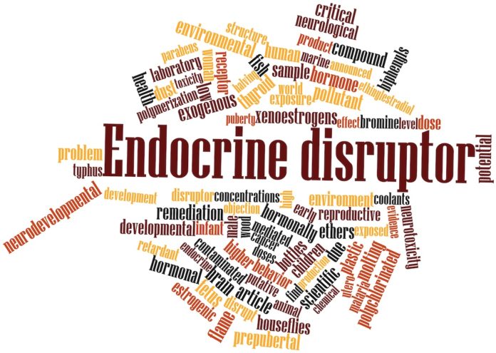 Word cloud for Endocrine disruptor interferenti endocrini