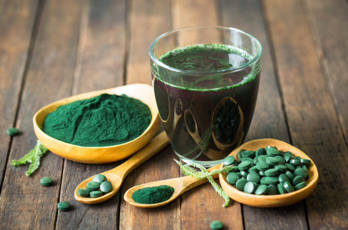spirulina spirulina