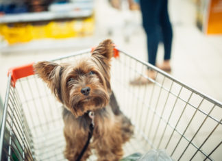 Dietrofront del ministero della Salute: i cani possono entrare nei supermercati CANI SUPERMERCATI