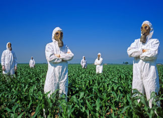 Il mondo del biologico contro la svolta pro-Ogm di Crea, Coldiretti e Federchimica NUOVI OGM TEA