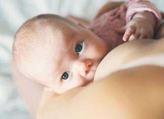Dal bisfenolo ai Pfas nel latte materno: i risultati della revisione scientifica allattamento