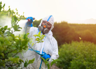 Fluazinam, accuse di frode nei test: “Nascosti per anni i rischi del pesticida per lo sviluppo del cervello” pesticidi