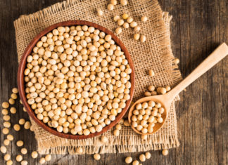 La soia è molto nutriente ma il 90% è Ogm e ha un impatto ambientale devastante SOIA
