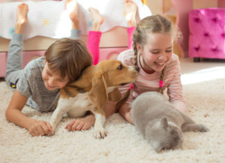 I benefici di un animale domestico in casa ANIMALI DOMESTICI