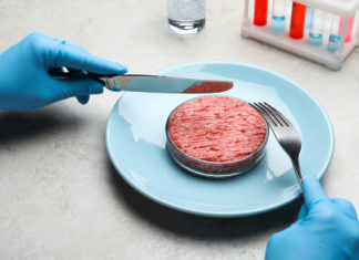 8 considerazioni sulla carne sintetica per diradare la “cortina fumogena” CARNE SINTETICA