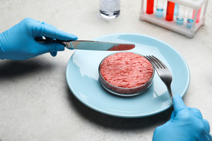 Scientist holding fork and knife over plate with minced cultured meat at light grey lab table, closeup CARNE SINTETICA
