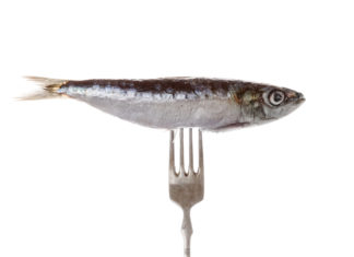 Tanto pesce e fosforo fanno davvero bene alla memoria? FOSFORO PESCE MEMORIA